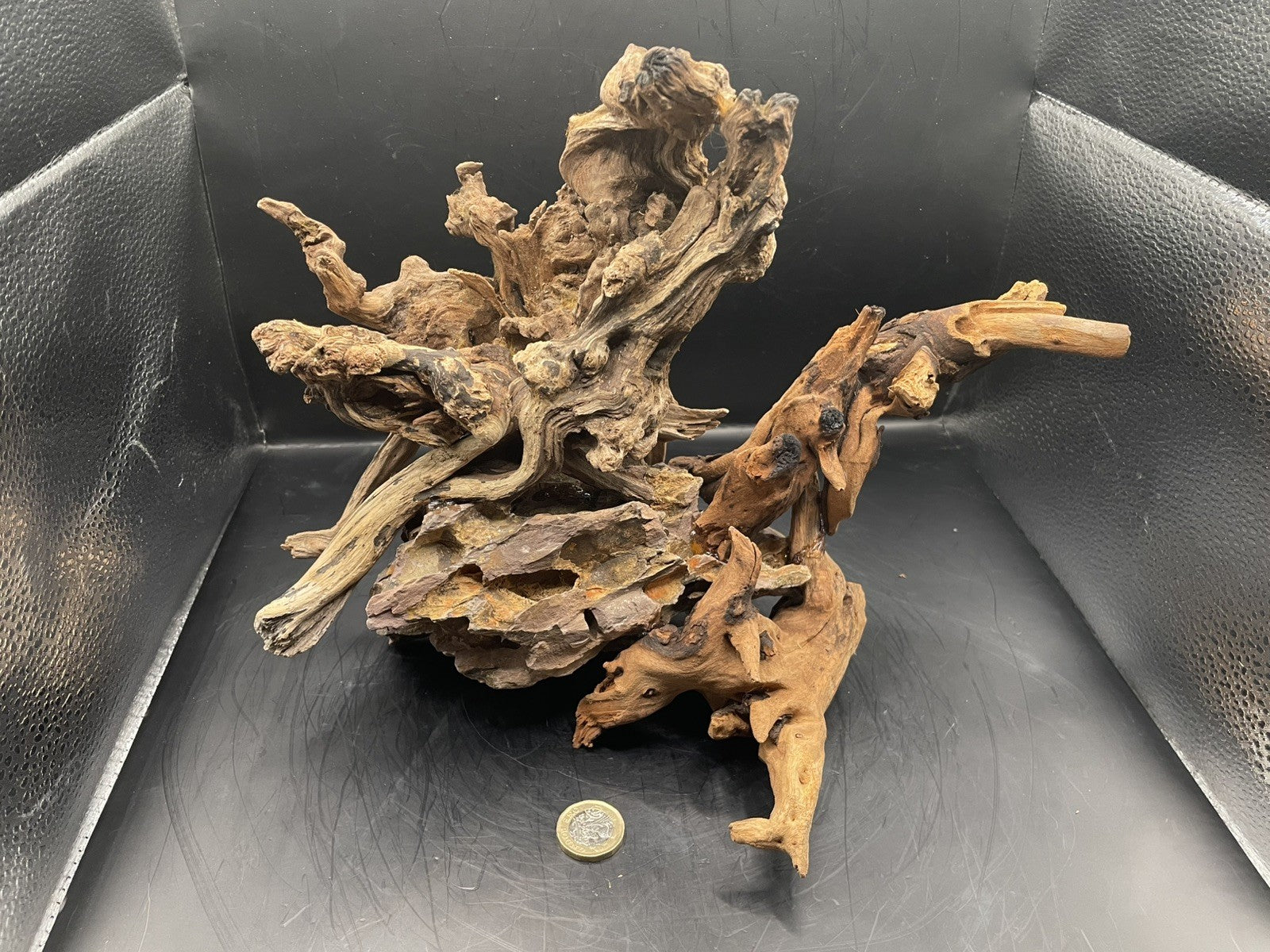 Aquarium Driftwood, Handcrafted Aquascape Unique Decoration - Skycoil