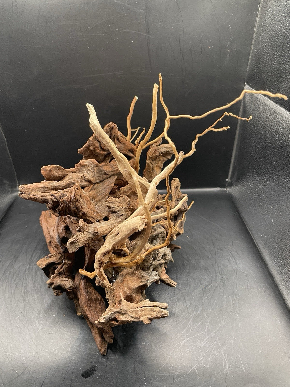 Aquarium Vivarium Driftwood Handcrafted Unique Cave Decoration-The Silvan Maw