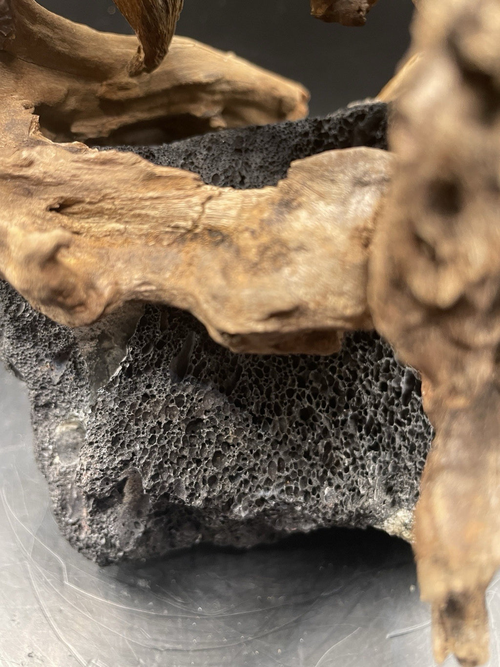Aquarium Driftwood Handcrafted Aquascape Unique Lava Rock - Askja