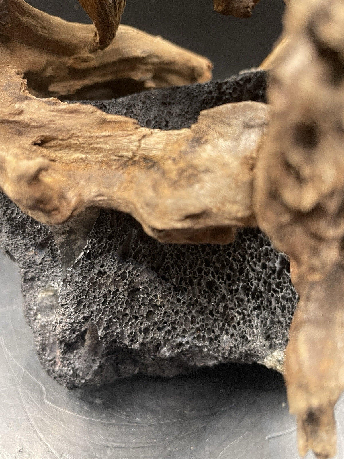 Aquarium Driftwood Handcrafted Aquascape Unique Lava Rock - Askja