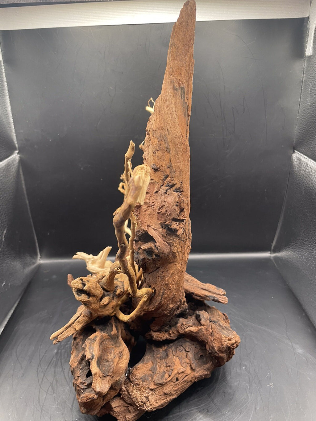 Aquarium Driftwood Wood Mix Natural Aquascape Design Unique - Drifthorn Sentinel