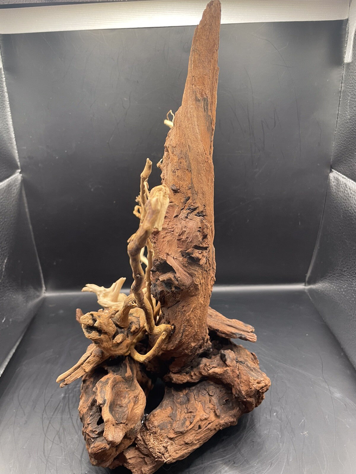 Aquarium Driftwood Wood Mix Natural Aquascape Design Unique - Drifthorn Sentinel