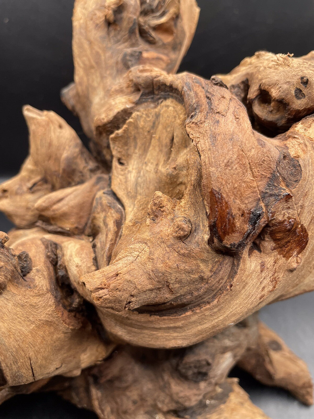 Aquarium Driftwood Wood Mix Natural Aquascape Design Unique - Krakens Claw