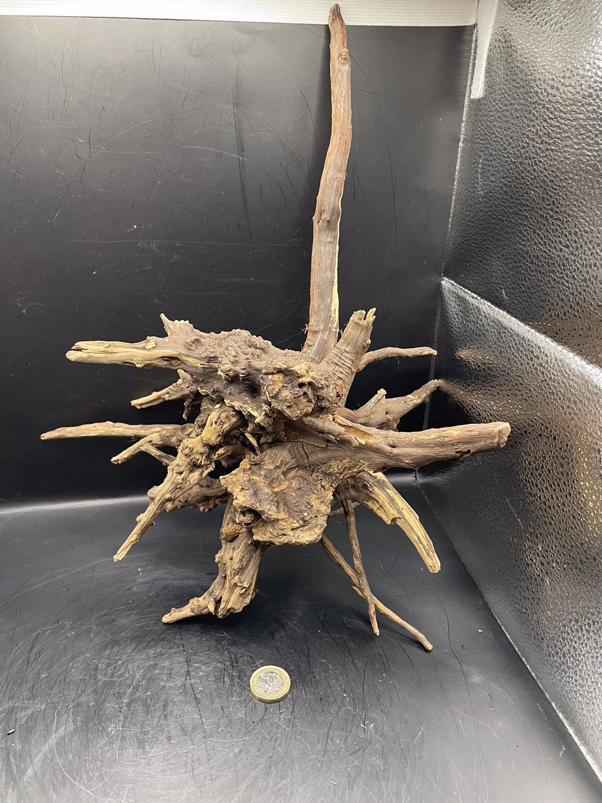 Aquarium Driftwood Wood Natural Aquascape Fish Tank - Starburst Stump