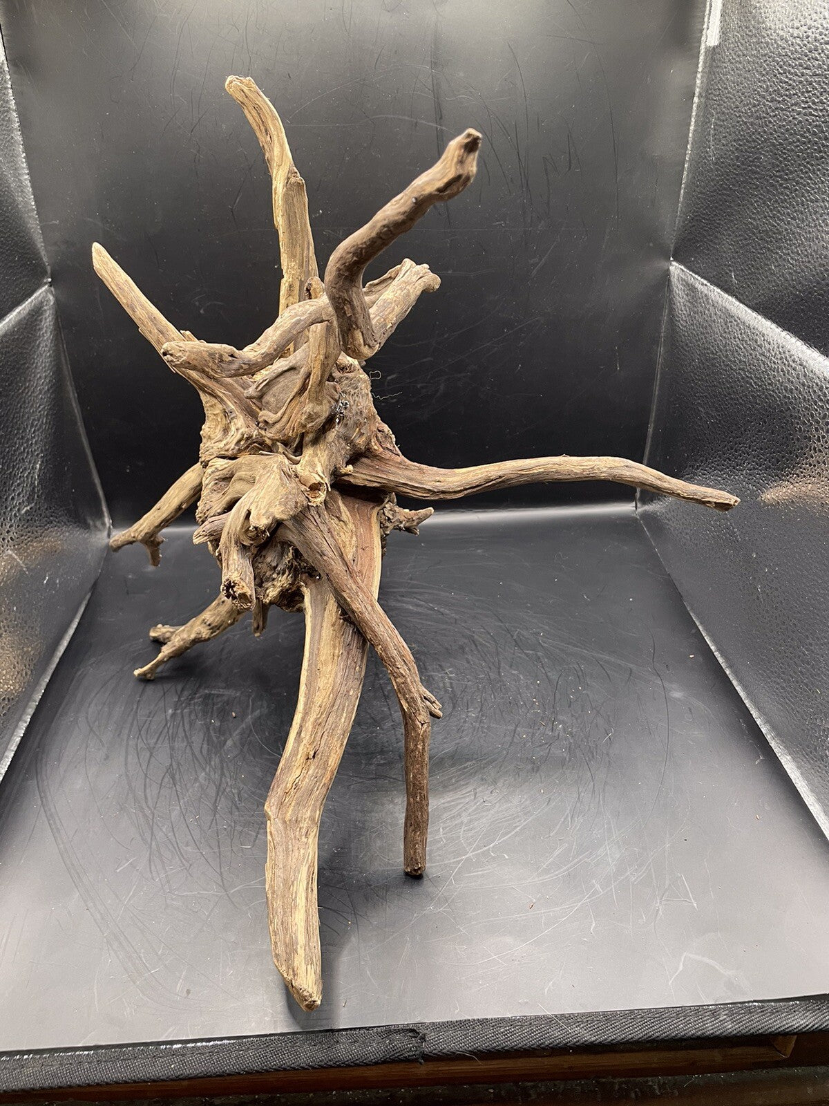 Aquarium Driftwood Wood Natural Aquascape Fish Tank - Spire Burst Root