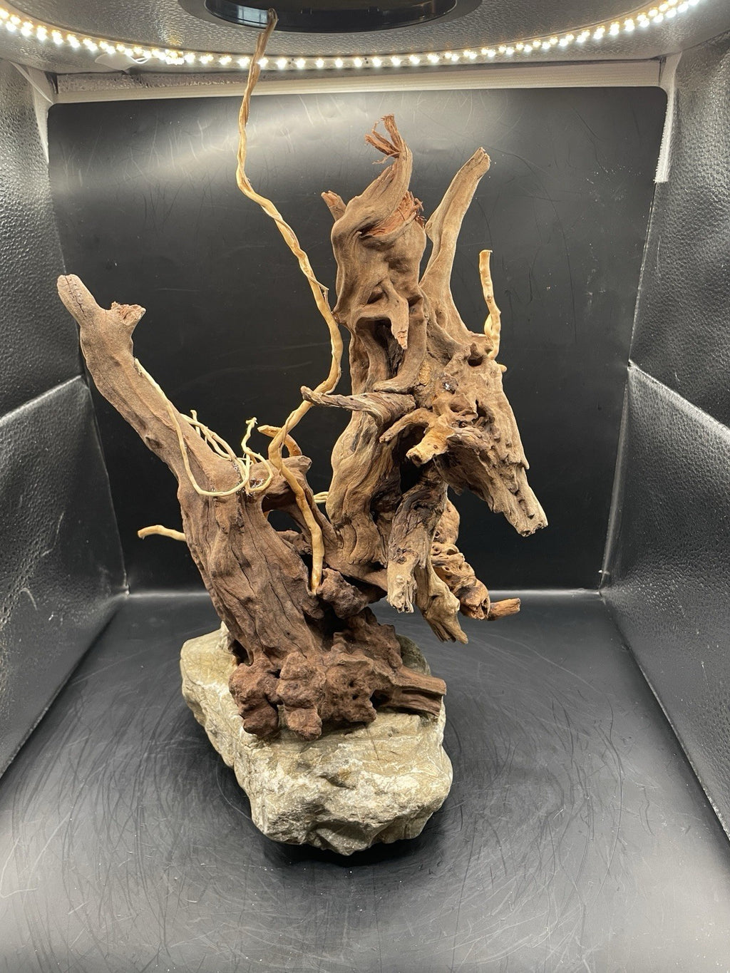 Aquarium Driftwood Handcrafted Aquascape Unique - The Bramble Reliquary