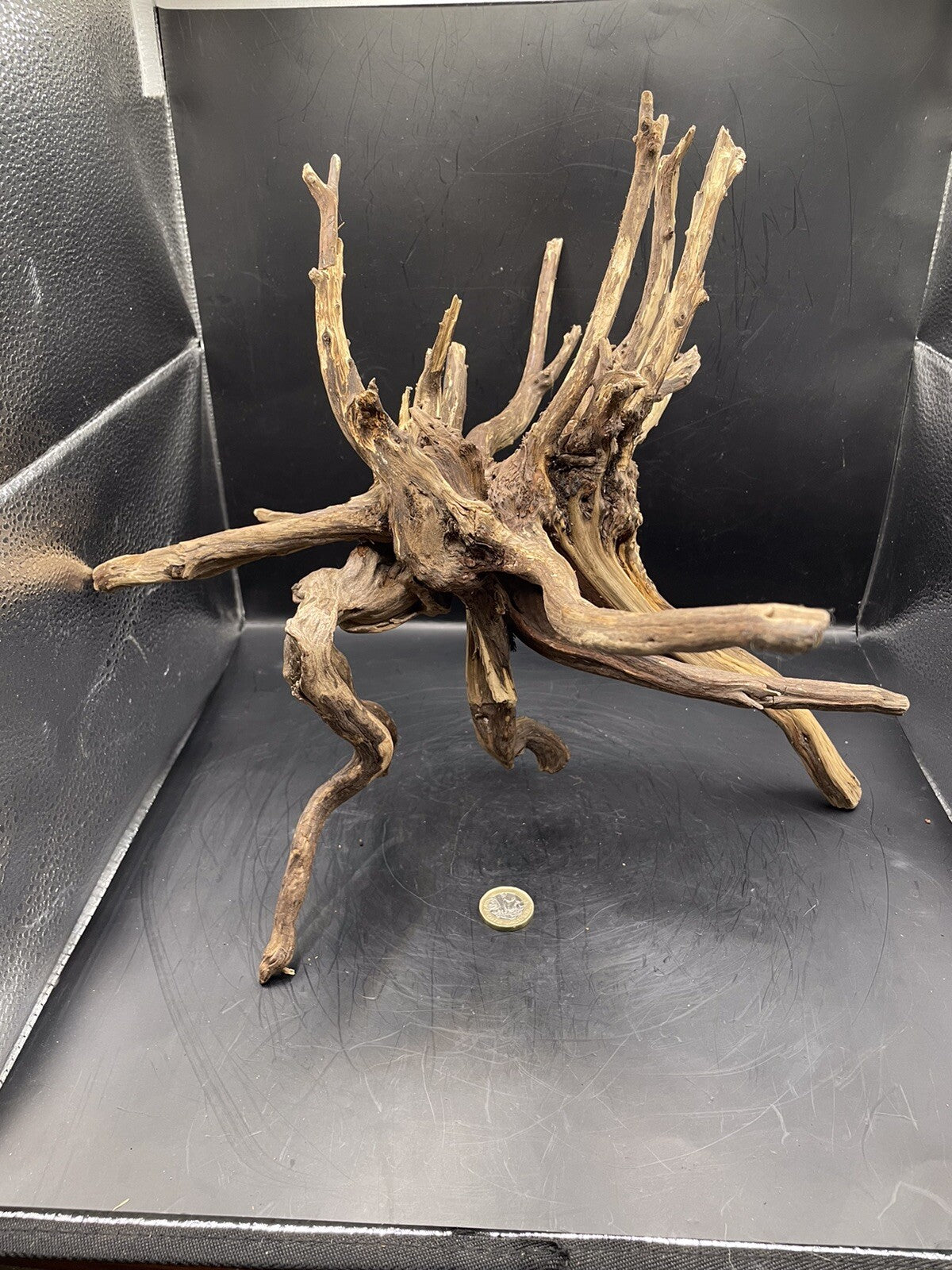 Aquarium Driftwood Wood Natural Aquascape Fish Tank - Spire Burst Root