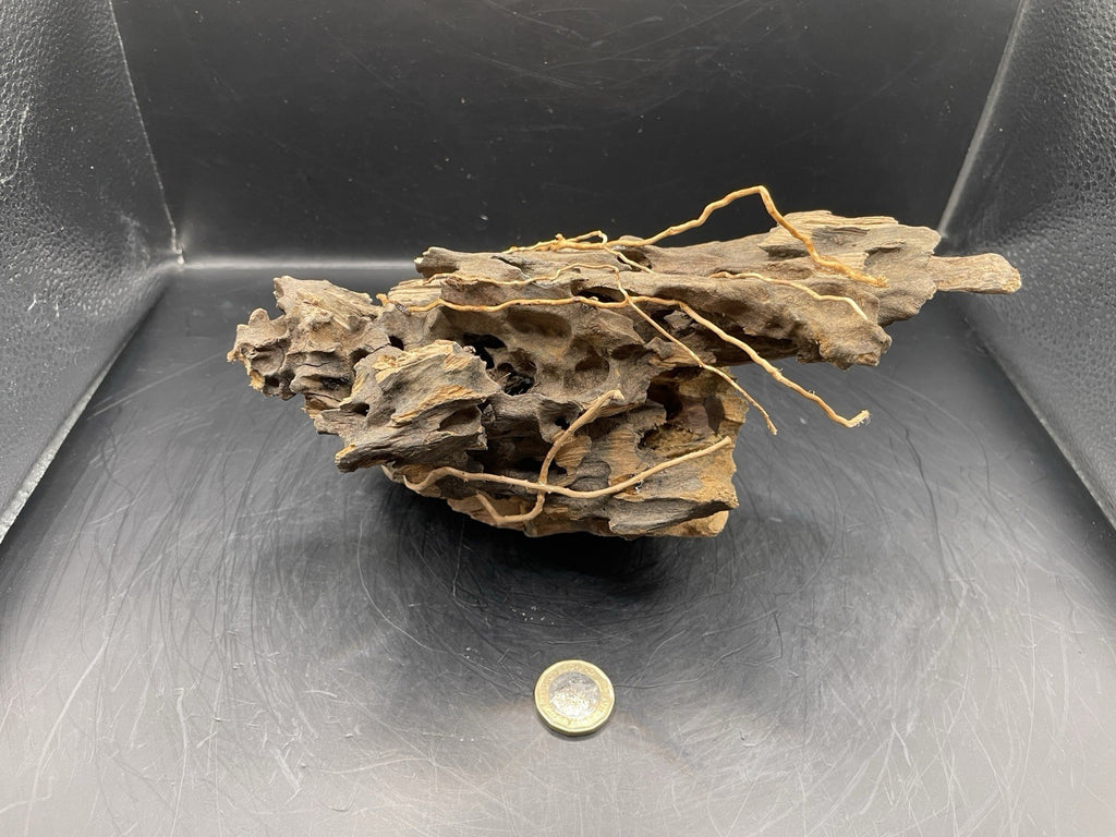 Aquarium Driftwood Handcrafted Aquascape Unique - The Triad of Thorne