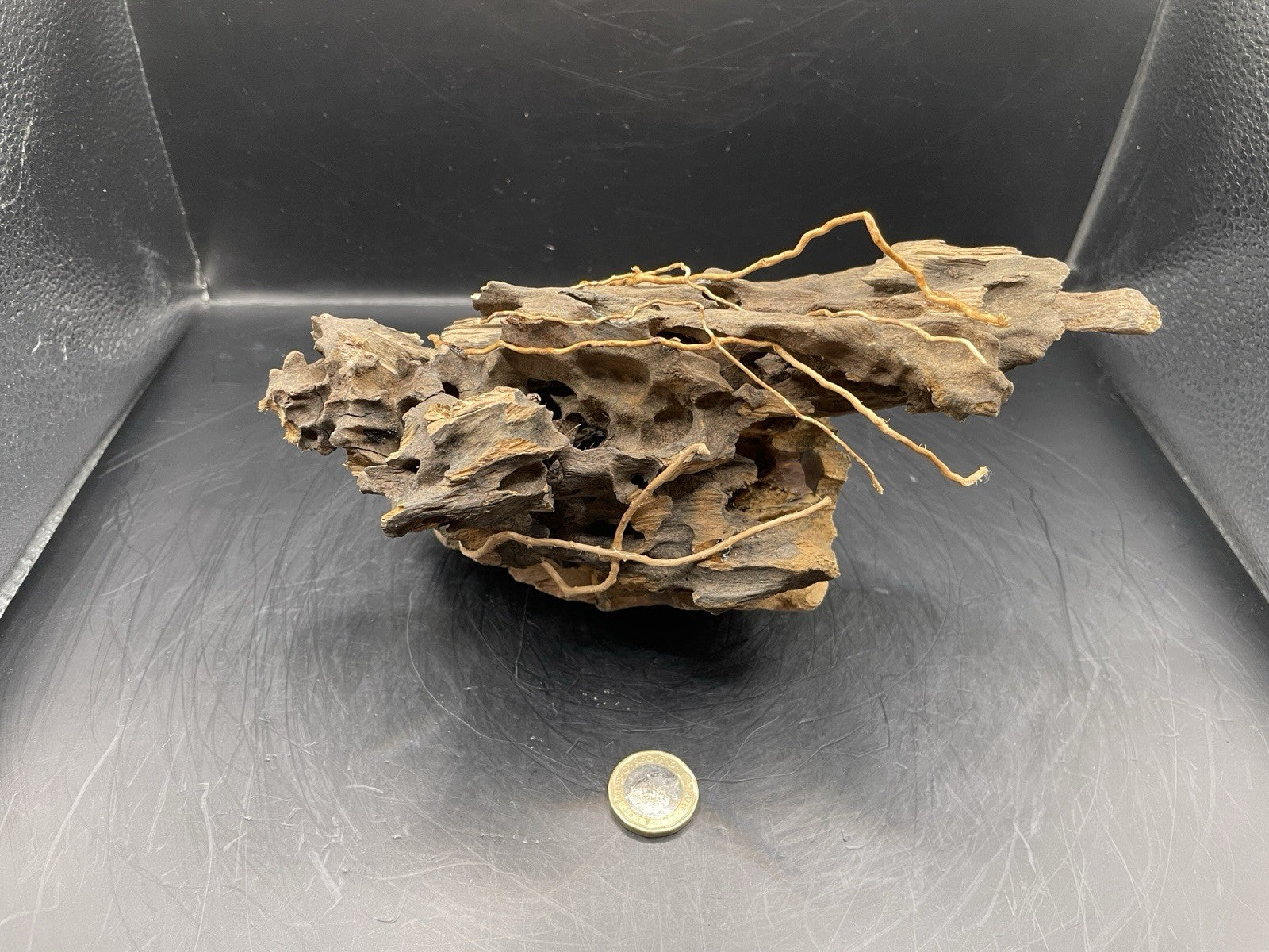 Aquarium Driftwood Handcrafted Aquascape Unique - The Triad of Thorne