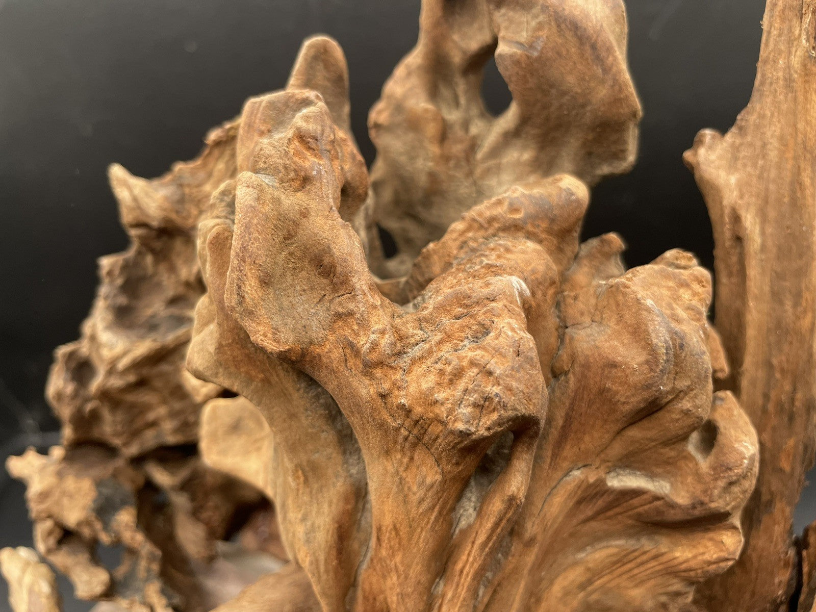Aquarium Driftwood, Handcrafted Aquascape Unique Decoration - Timbercrest