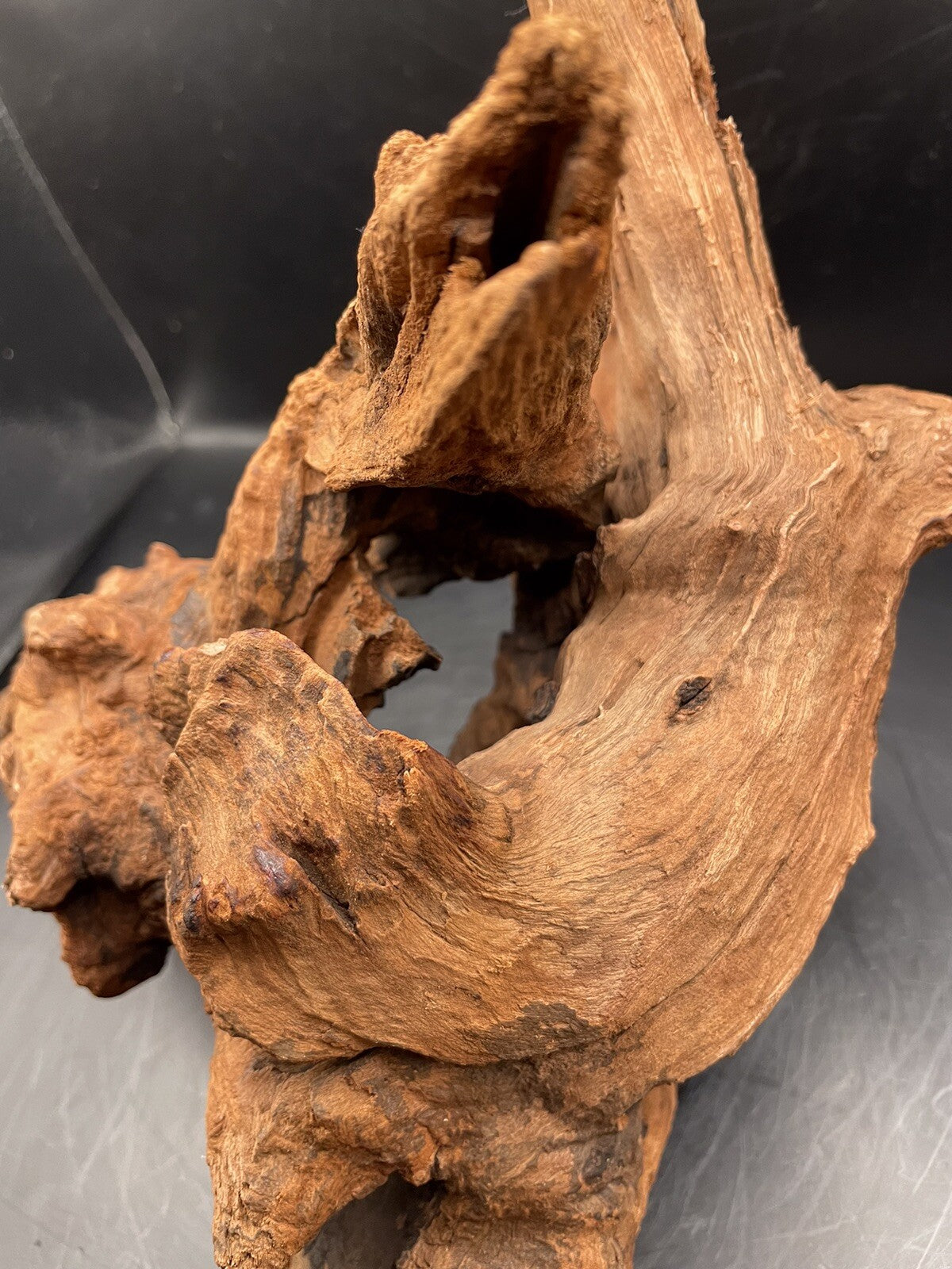Aquarium Driftwood Wood Natural Aquascape Fish Tank - Gnarleth’s Refuge