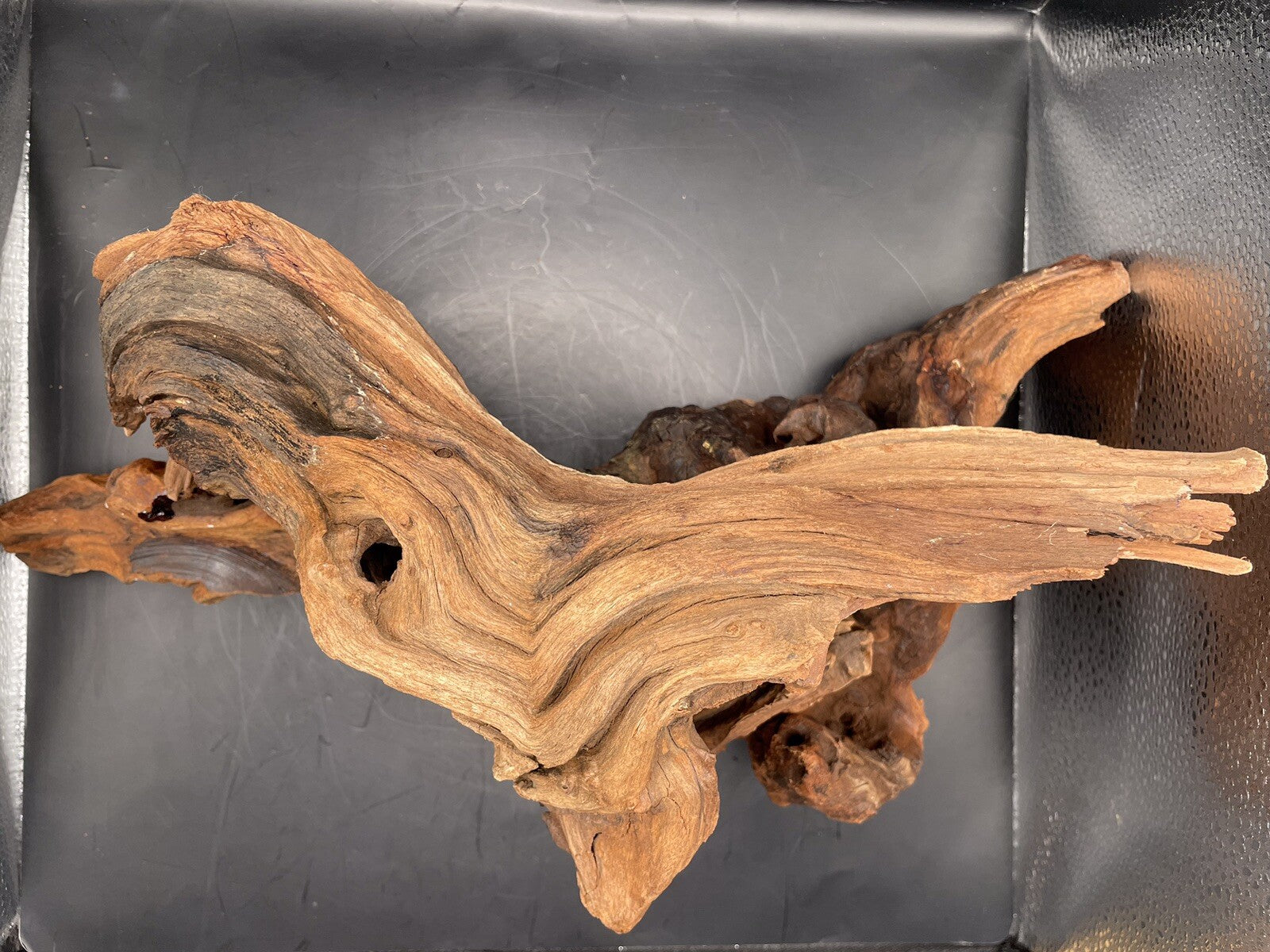 Aquarium Driftwood Wood Mix Natural Aquascape Design Unique - Twisted Titan