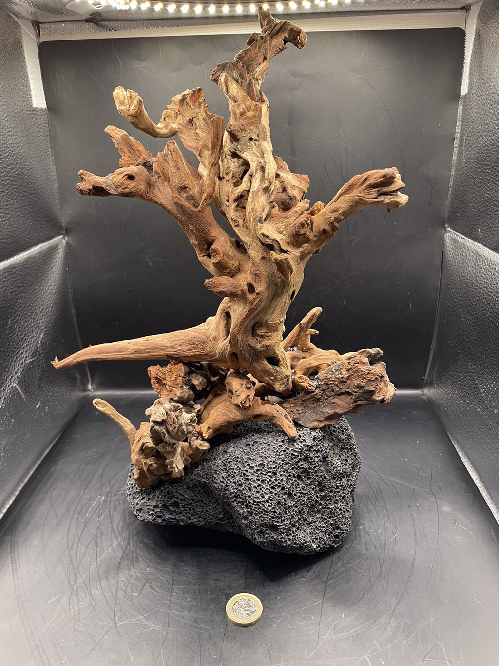 Aquarium Driftwood Wood Mix Natural Aquascape Unique Design - Fangspire Ascent