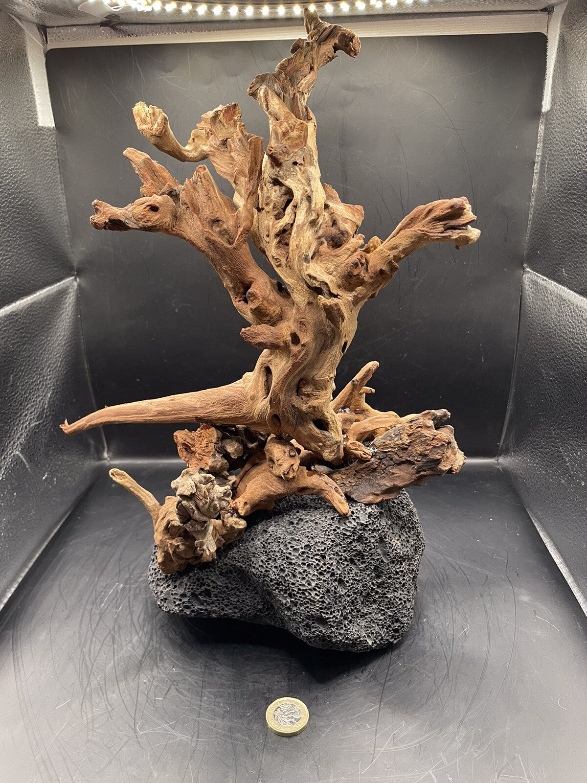 Aquarium Driftwood Wood Mix Natural Aquascape Unique Design - Fangspire Ascent