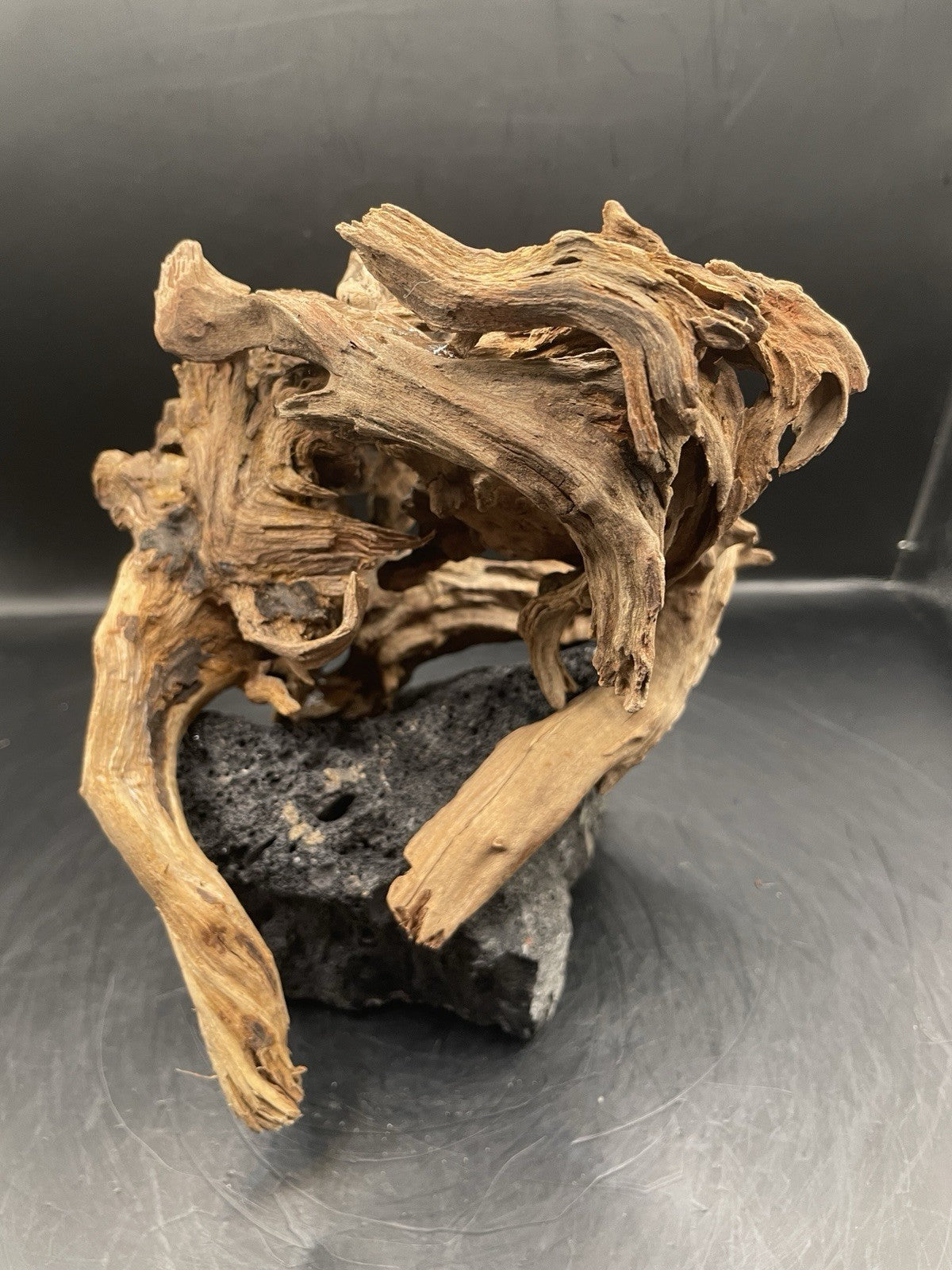 Aquarium Driftwood Handcrafted Aquascape Unique Lava Rock - Askja