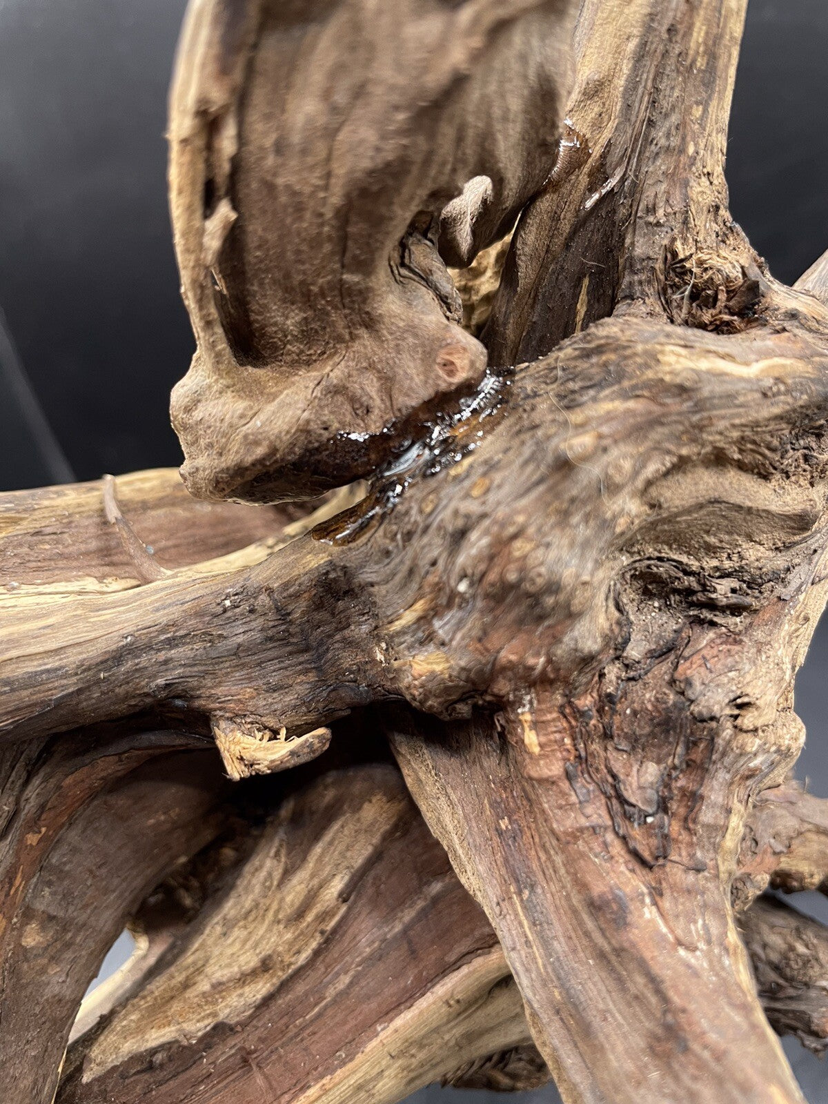 Aquarium Driftwood Wood Natural Aquascape Fish Tank - Starburst Stump