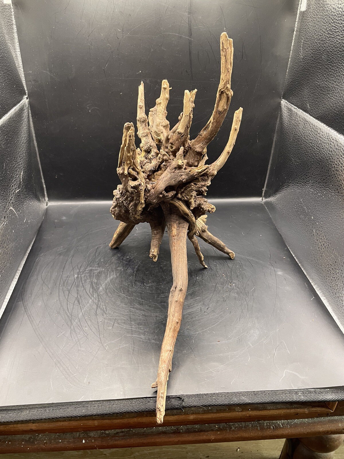 Aquarium Driftwood Wood Natural Aquascape Fish Tank - Starburst Stump