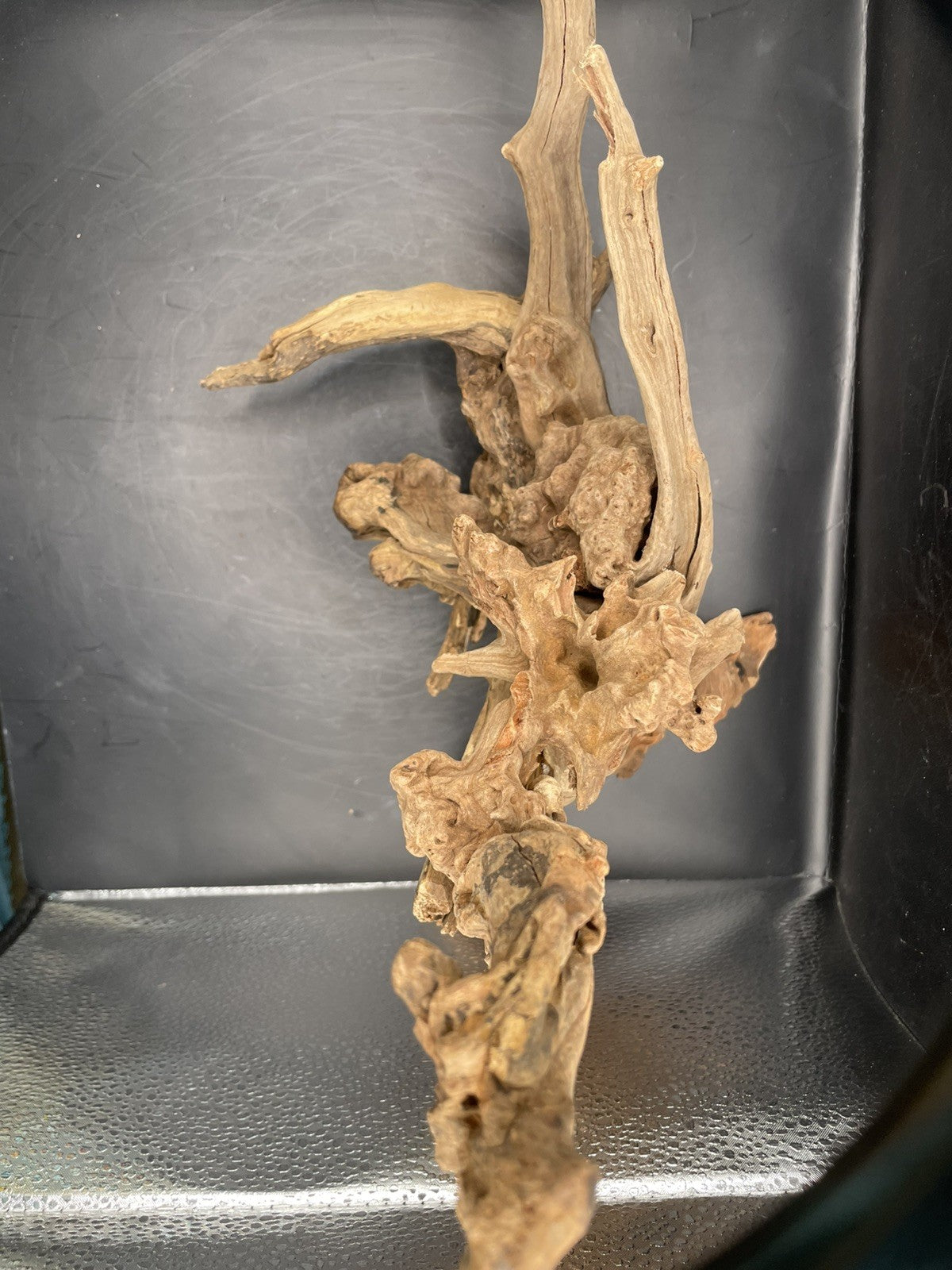 Aquarium Driftwood, Handcrafted Aquascape Unique Decoration - Stormperch