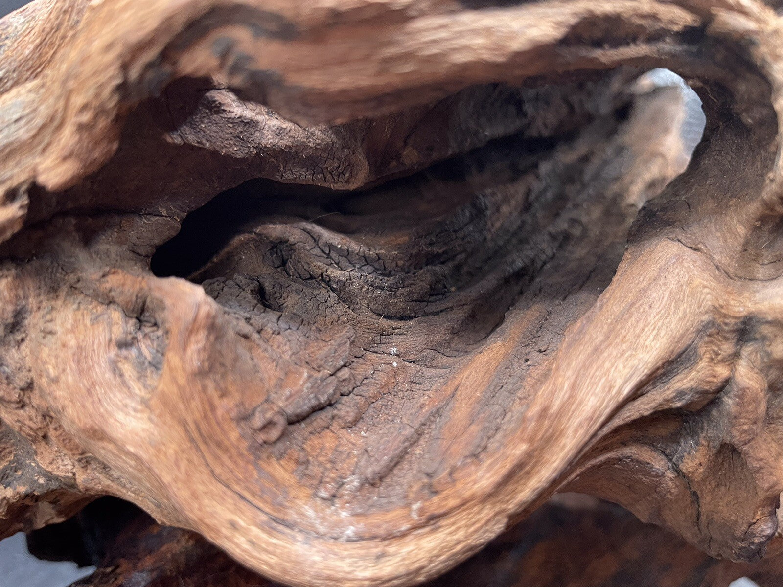 Aquarium Driftwood Wood Mix Natural Aquascape Design Unique - Twisted Titan