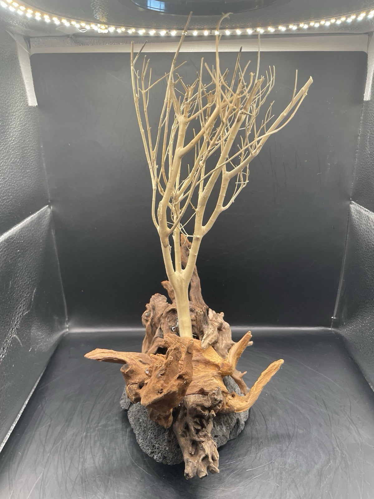 Aquarium Driftwood Wood Mix Natural Aquascape Design Unique - Katia