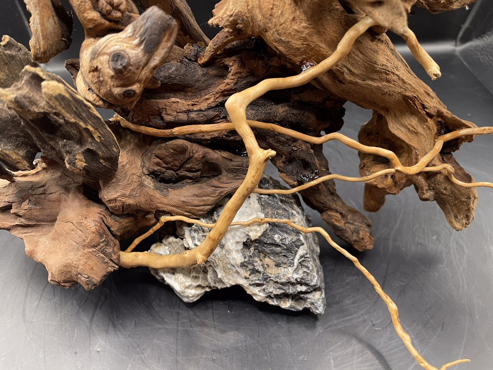 Aquarium Driftwood Wood Mix Natural Aquascape Design Unique -The Rootbound Heart
