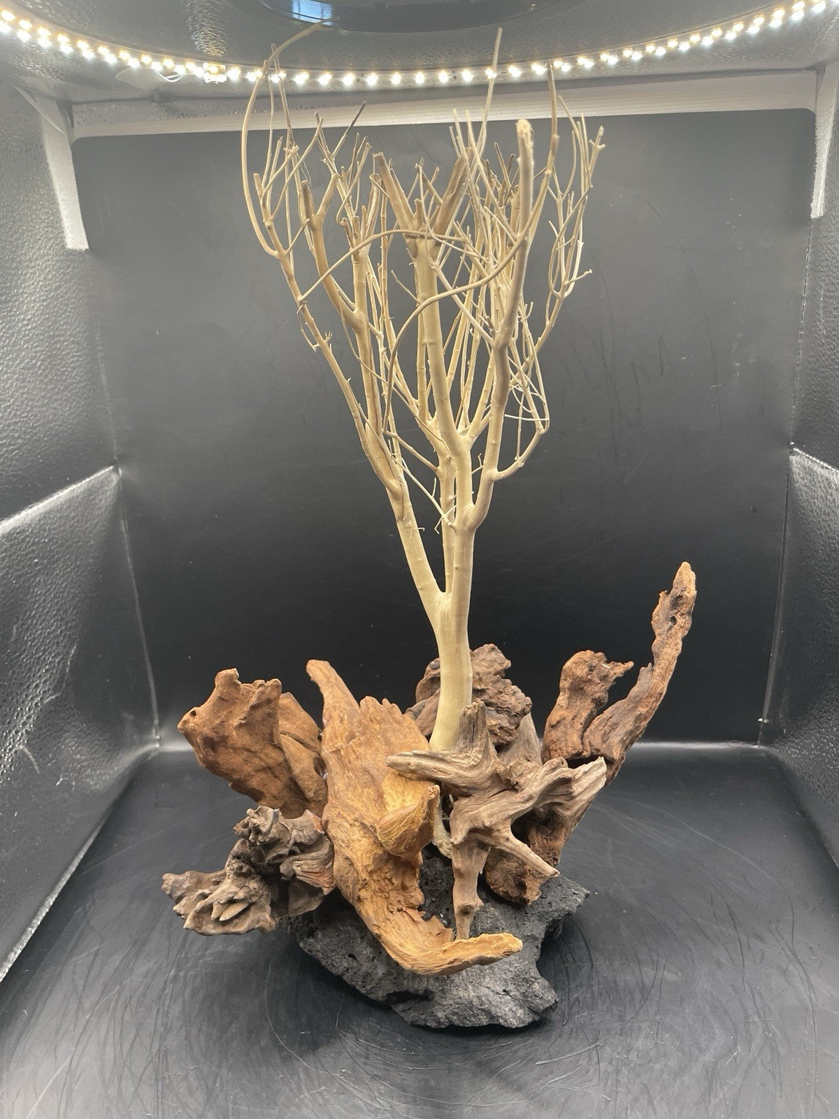 Aquarium Driftwood Wood Mix Natural Aquascape Design Unique - Katia