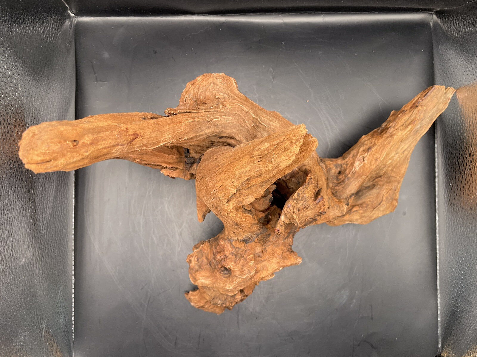 Aquarium Driftwood Wood Natural Aquascape Fish Tank - Gnarleth’s Refuge