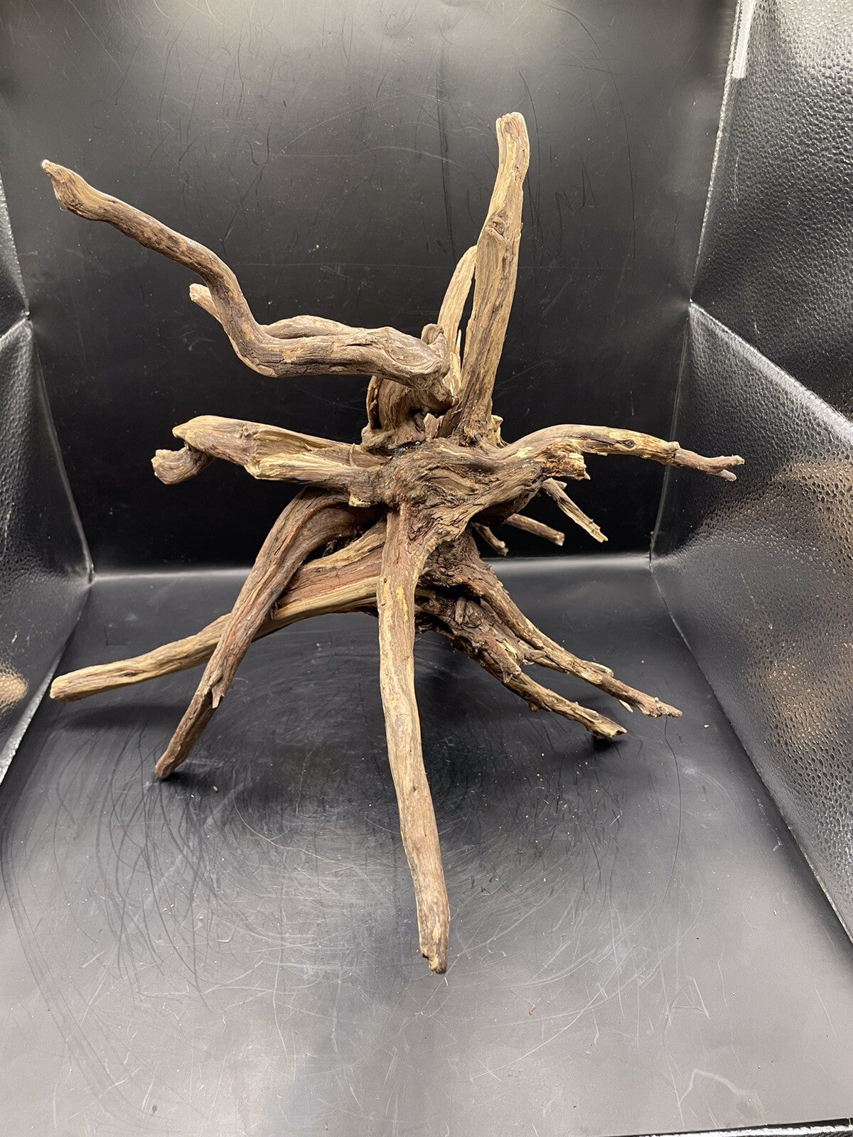 Aquarium Driftwood Wood Natural Aquascape Fish Tank - Spire Burst Root