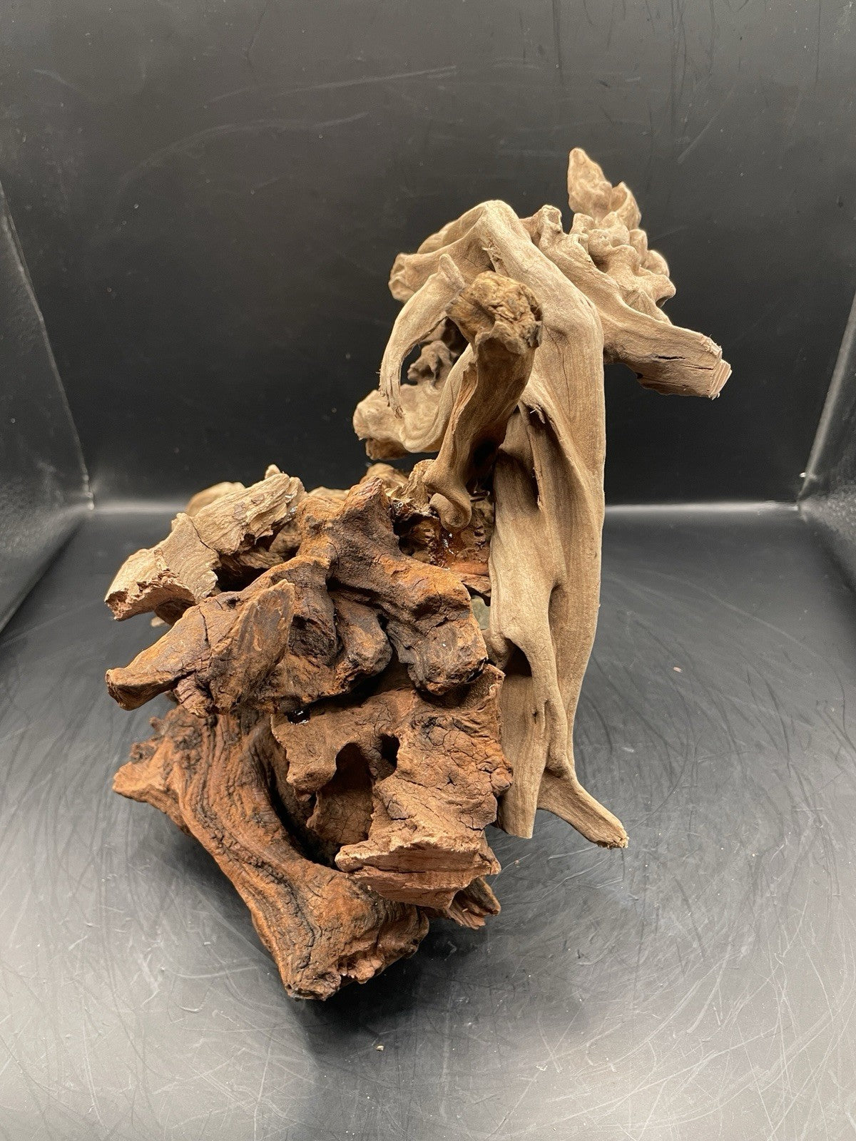 Aquarium Driftwood Handcrafted Aquascape Unique Decoration - Seraphroot.