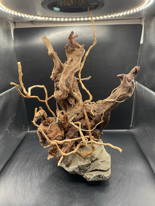 Aquarium Driftwood Handcrafted Aquascape Unique - The Bramble Reliquary