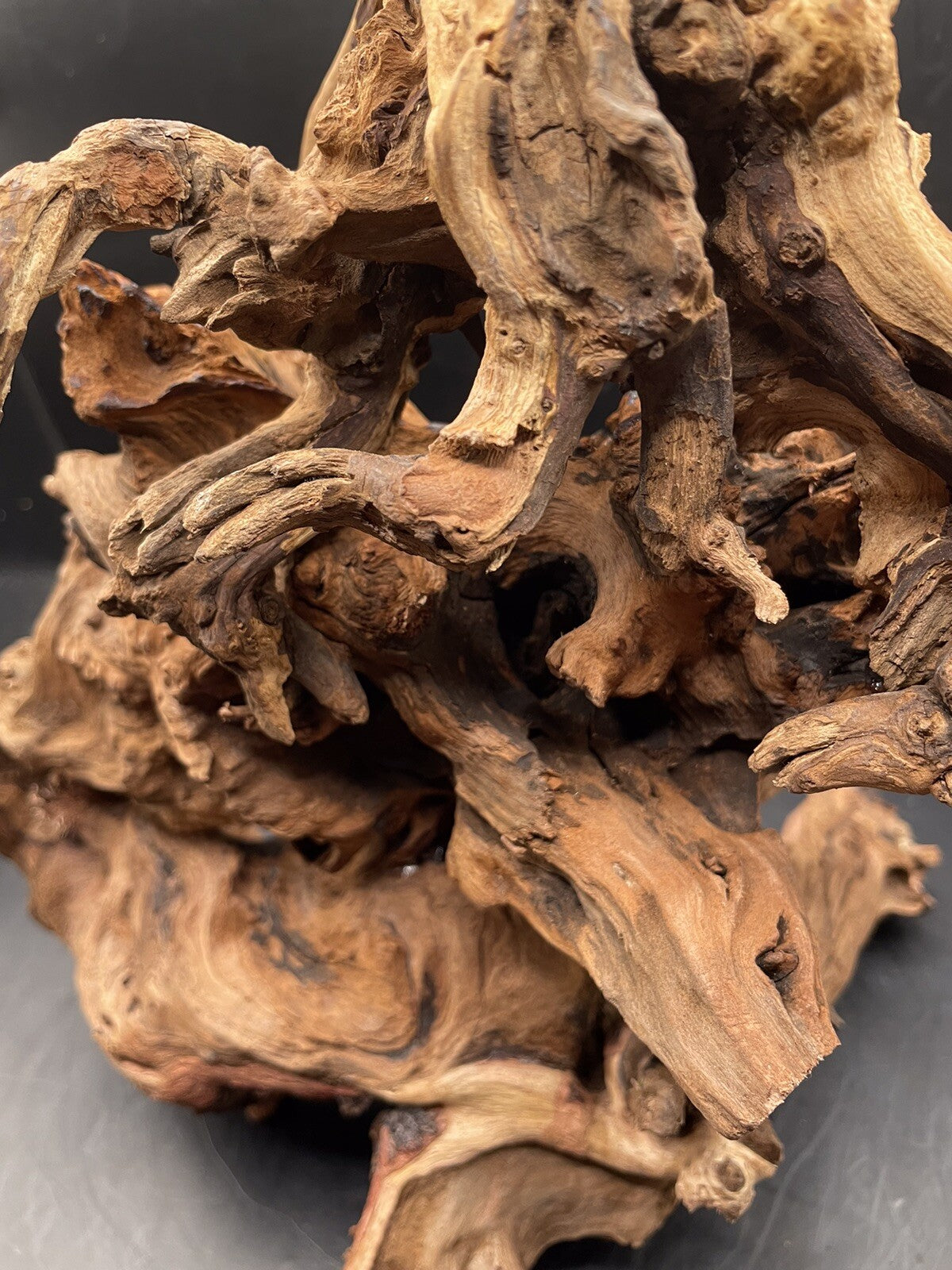 Aquarium Driftwood Wood Mix Natural Aquascape Design Unique - Serpents Spine