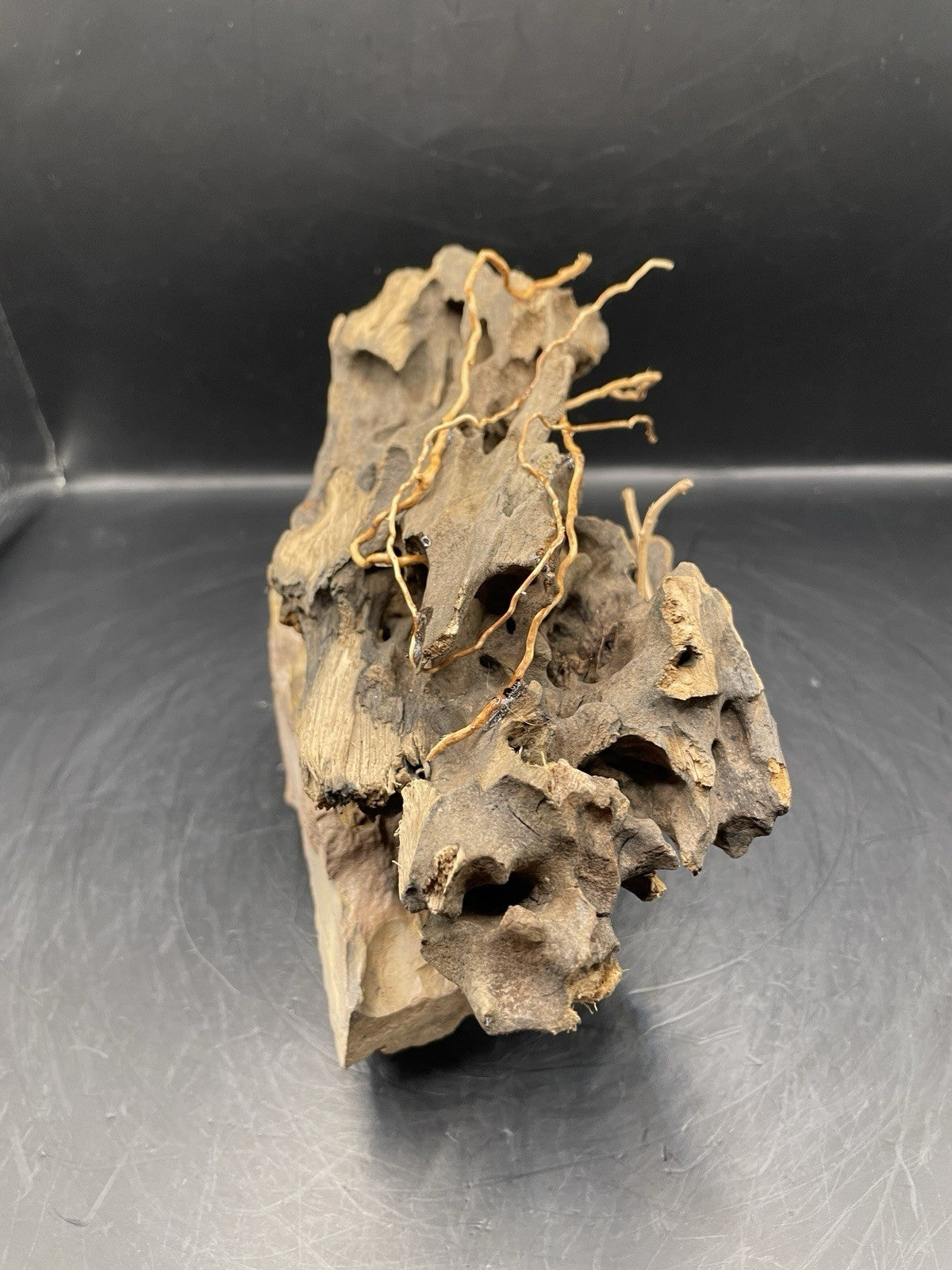 Aquarium Driftwood Handcrafted Aquascape Unique - The Triad of Thorne