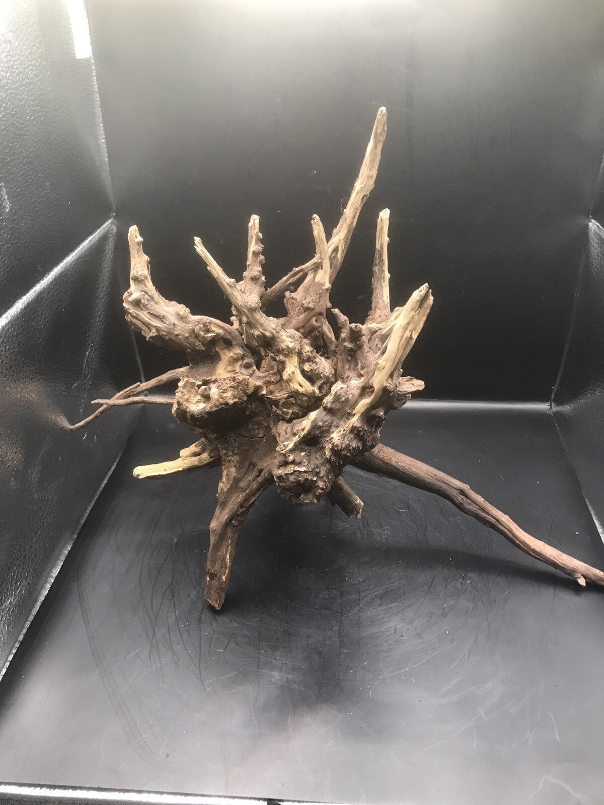 Aquarium Driftwood Wood Natural Aquascape Fish Tank - Starburst Stump