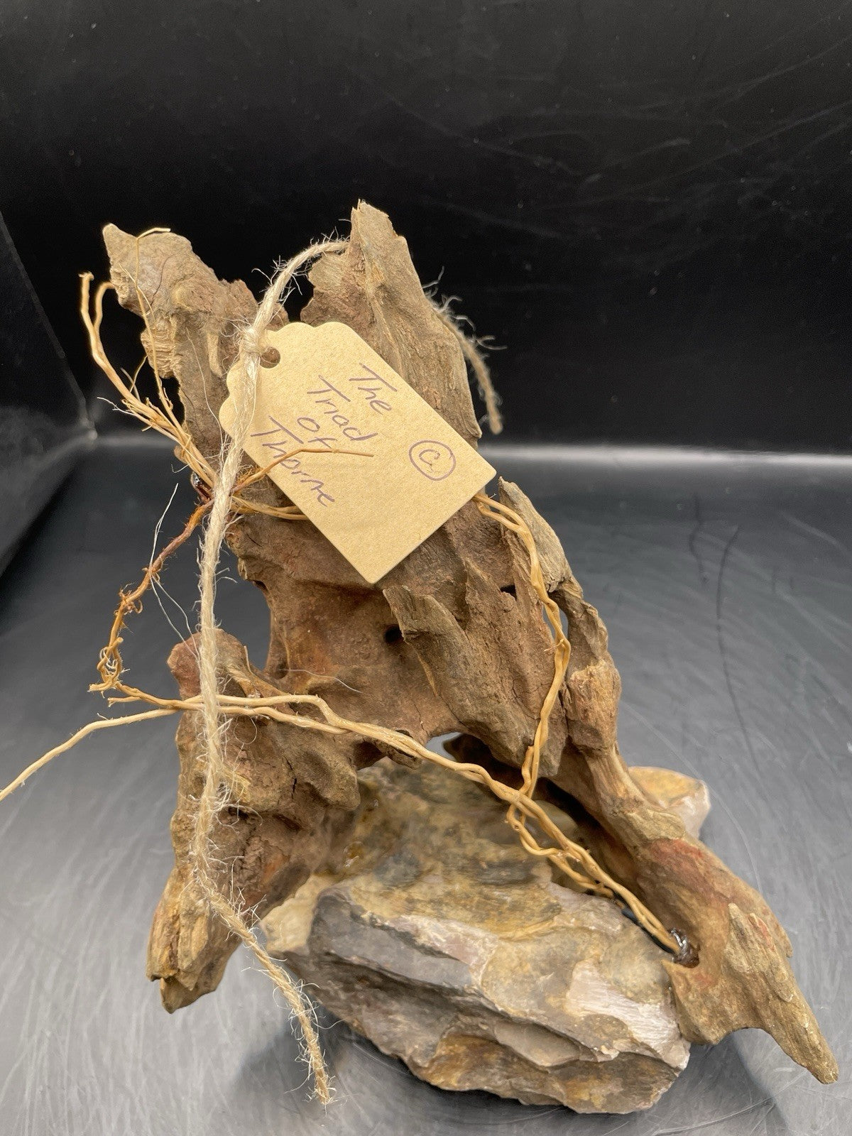 Aquarium Driftwood Handcrafted Aquascape Unique - The Triad of Thorne