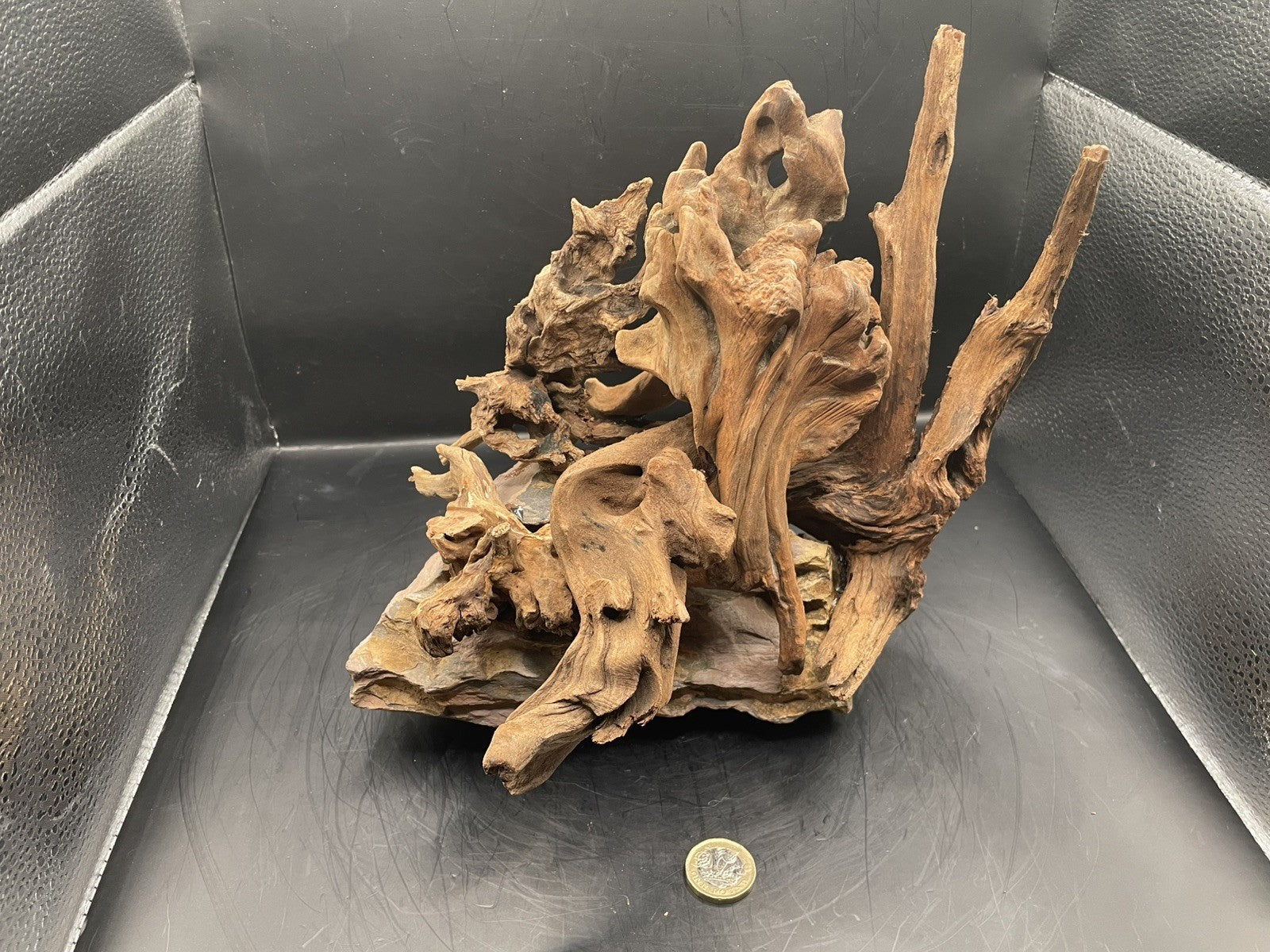 Aquarium Driftwood, Handcrafted Aquascape Unique Decoration - Timbercrest