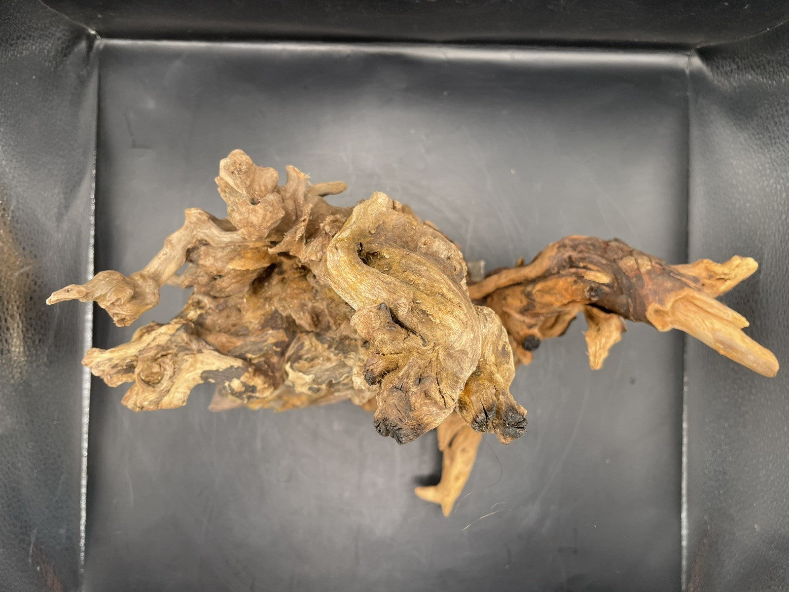 Aquarium Driftwood, Handcrafted Aquascape Unique Decoration - Skycoil