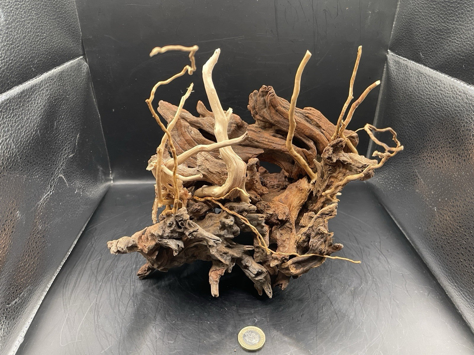 Aquarium Vivarium Driftwood Handcrafted Unique Cave Decoration-The Silvan Maw