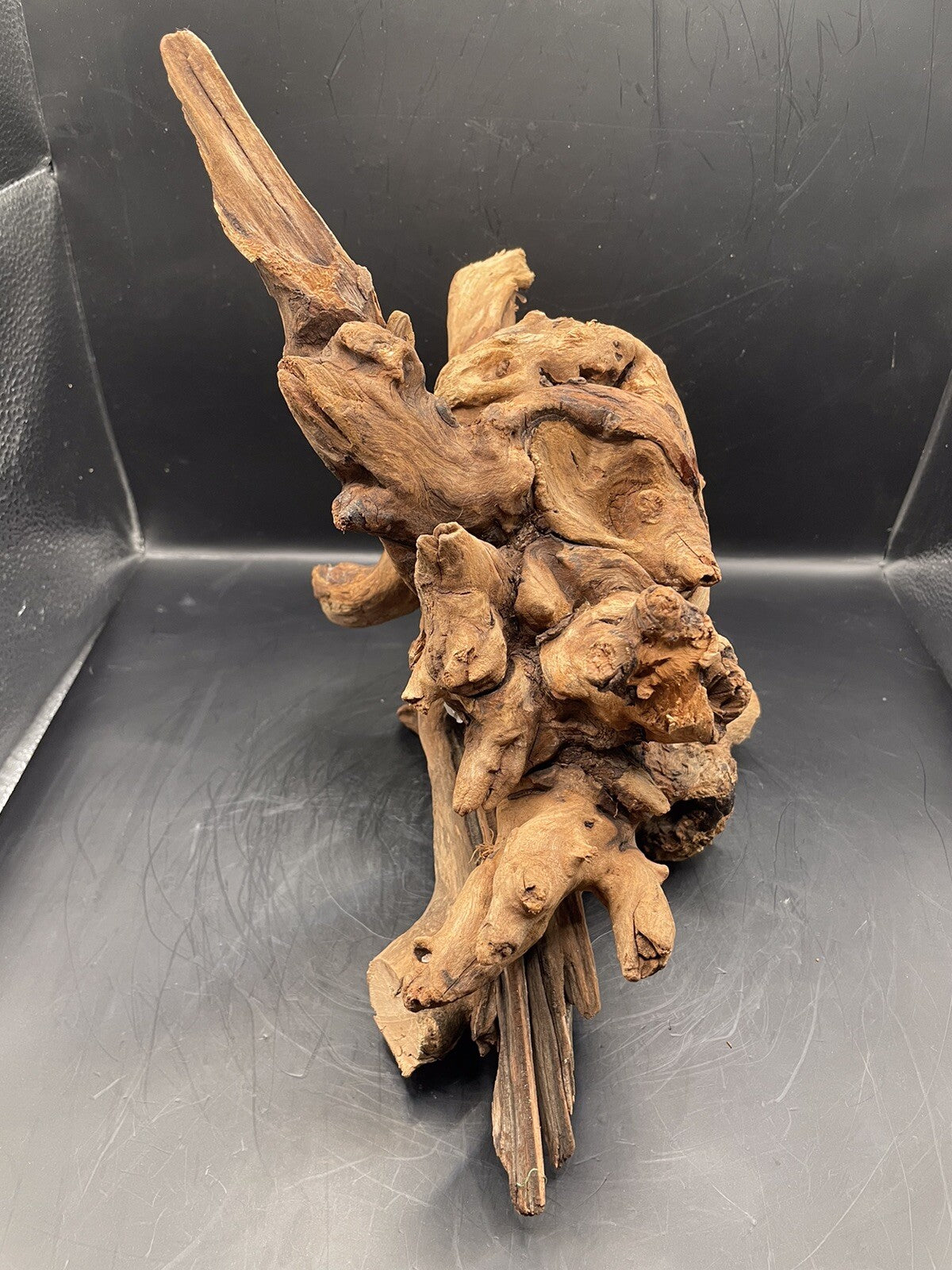 Aquarium Driftwood Wood Mix Natural Aquascape Design Unique - Krakens Claw