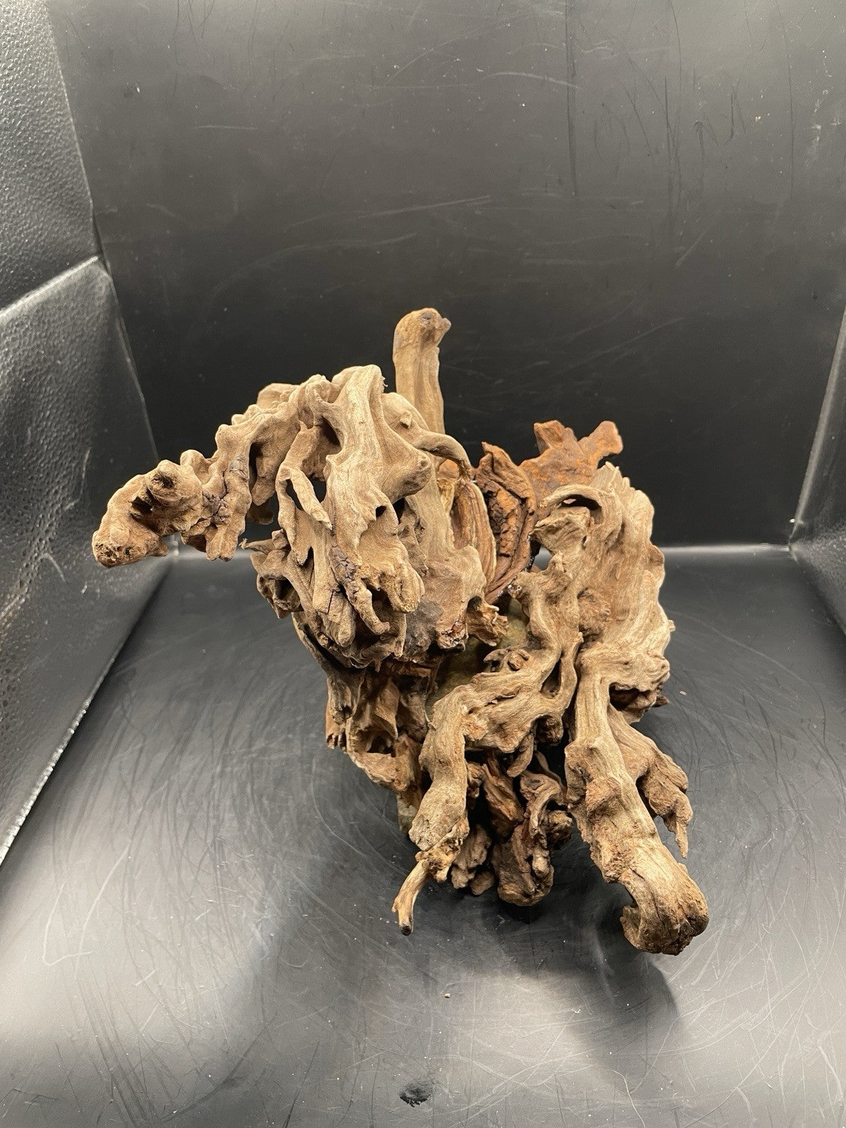 Aquarium Driftwood Handcrafted Aquascape Unique Decoration - Seraphroot.