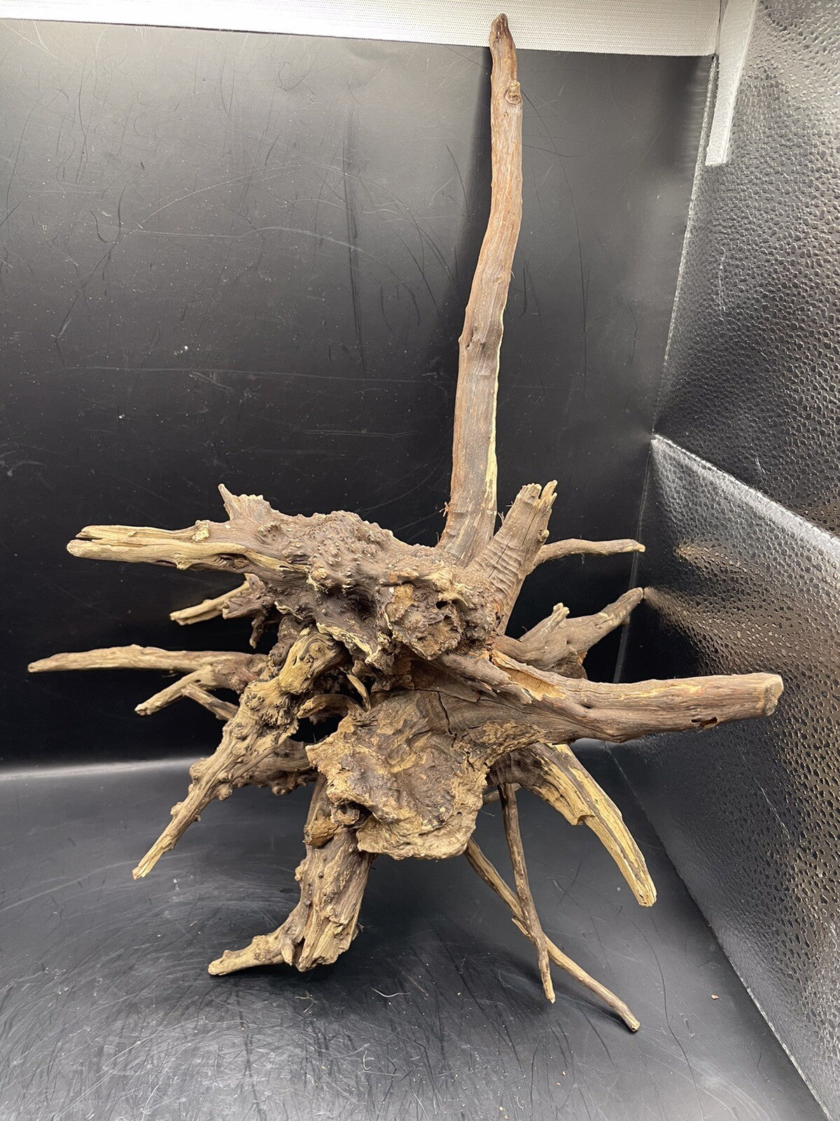 Aquarium Driftwood Wood Natural Aquascape Fish Tank - Starburst Stump