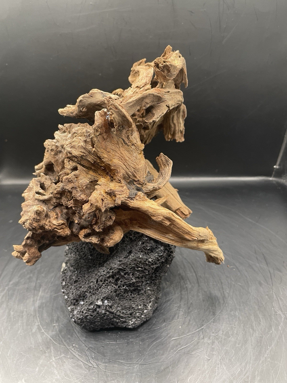 Aquarium Driftwood Handcrafted Aquascape Unique Lava Rock - Askja