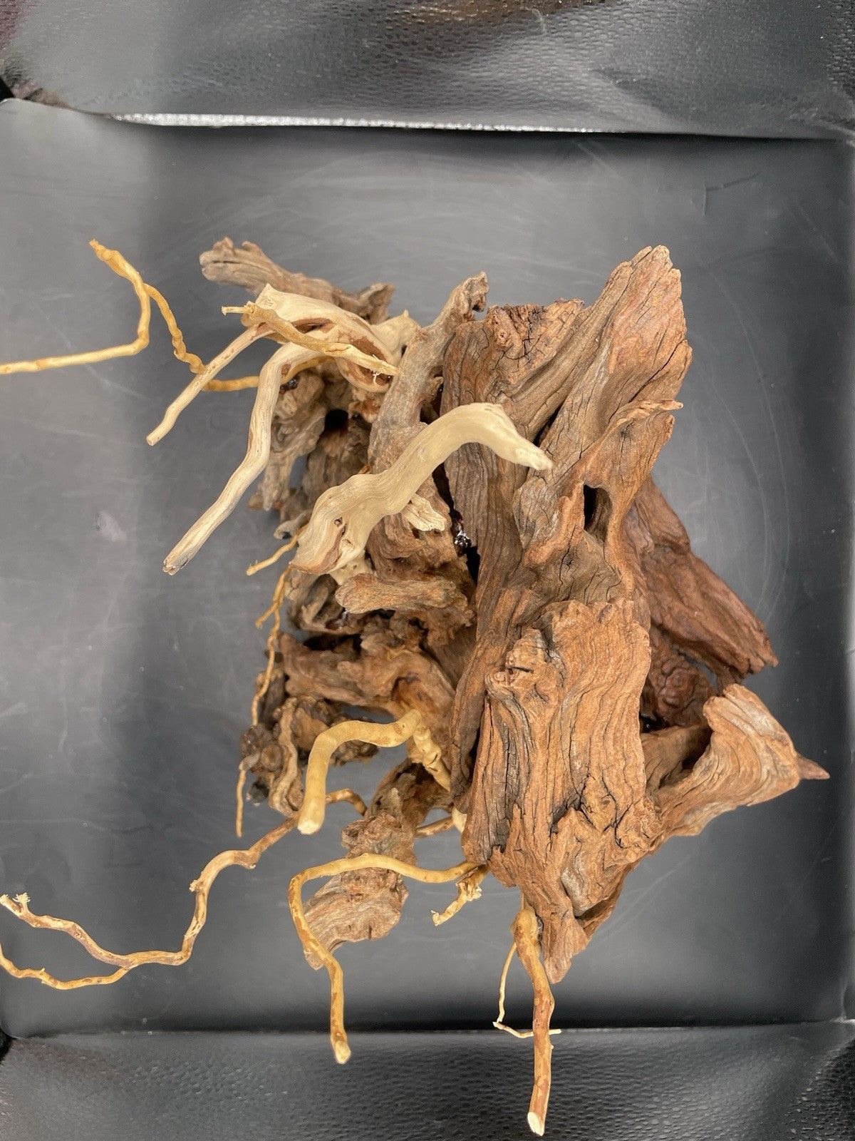 Aquarium Vivarium Driftwood Handcrafted Unique Cave Decoration-The Silvan Maw