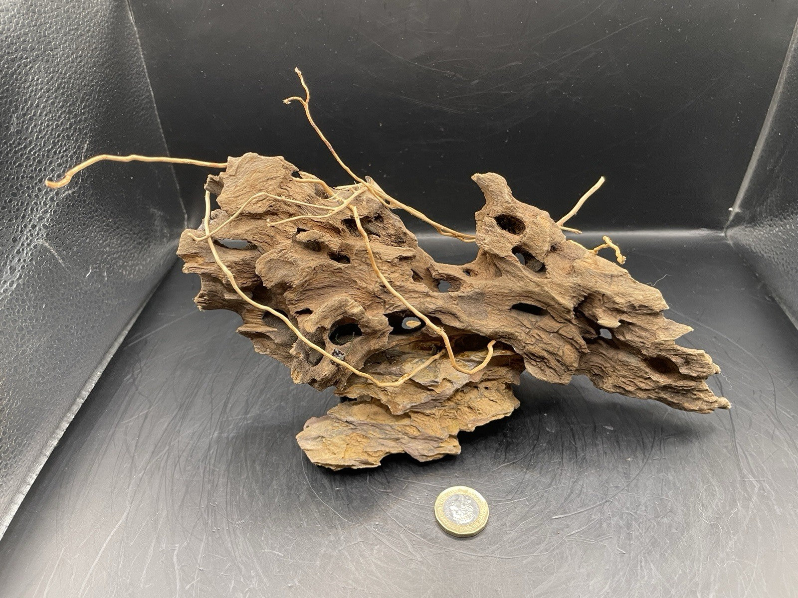 Aquarium Driftwood Handcrafted Aquascape Unique - The Triad of Thorne