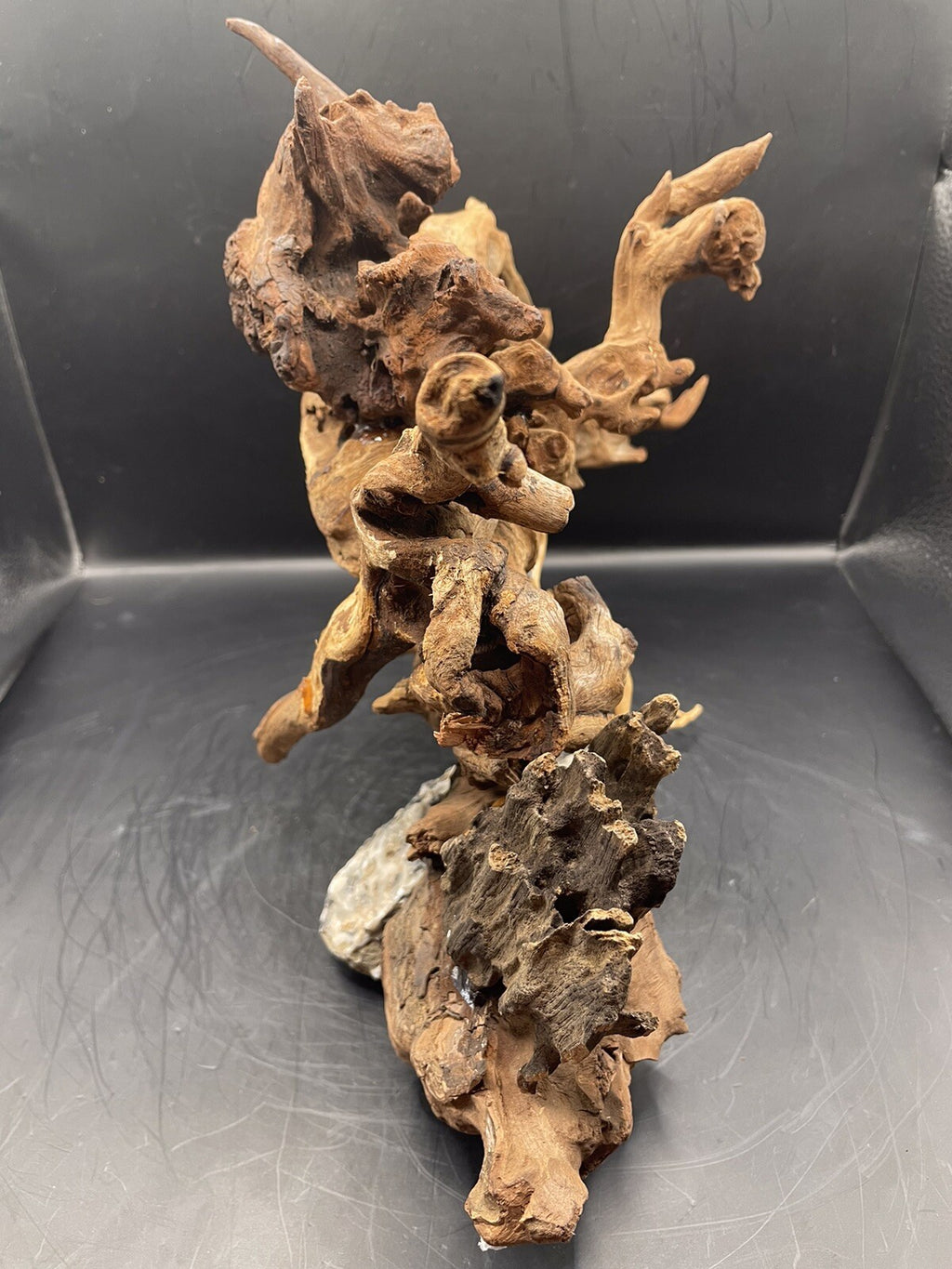 Aquarium Driftwood Wood Mix Natural Aquascape Design Unique -The Rootbound Heart
