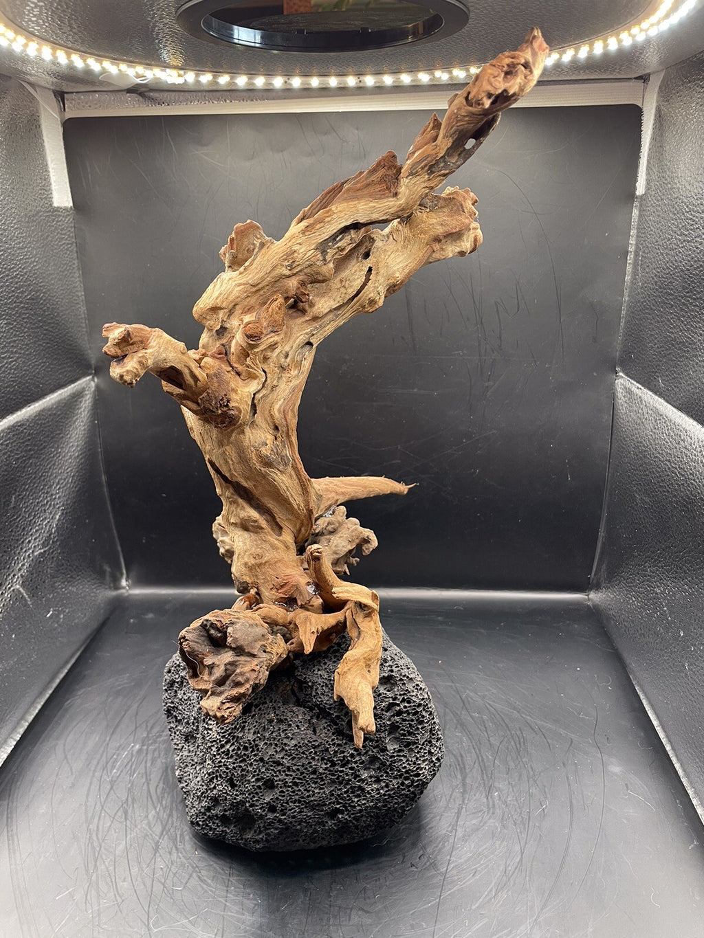 Aquarium Driftwood Wood Mix Natural Aquascape Unique Design - Fangspire Ascent