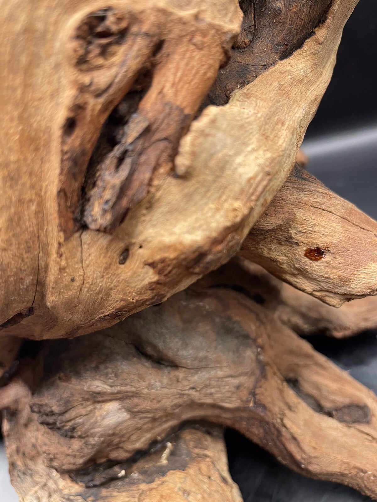 Aquarium Driftwood Wood Mix Natural Aquascape Design Unique - Krakens Claw
