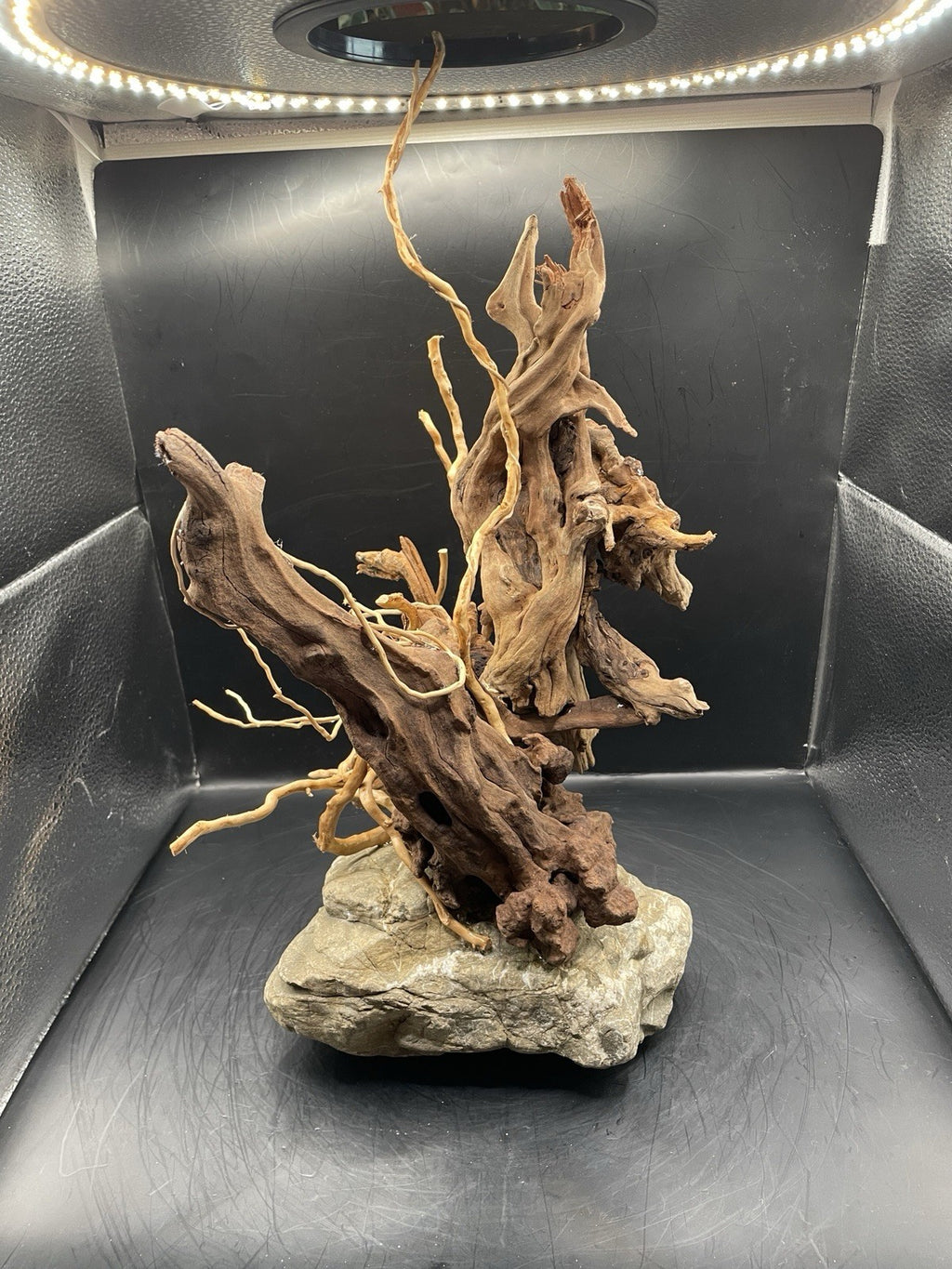 Aquarium Driftwood Handcrafted Aquascape Unique - The Bramble Reliquary