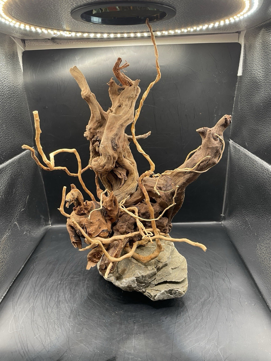 Aquarium Driftwood Handcrafted Aquascape Unique - The Bramble Reliquary