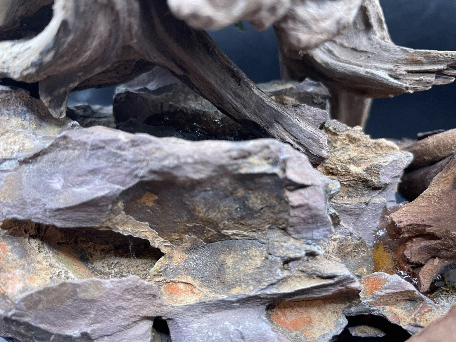Aquarium Driftwood, Handcrafted Aquascape Unique Decoration - Skycoil