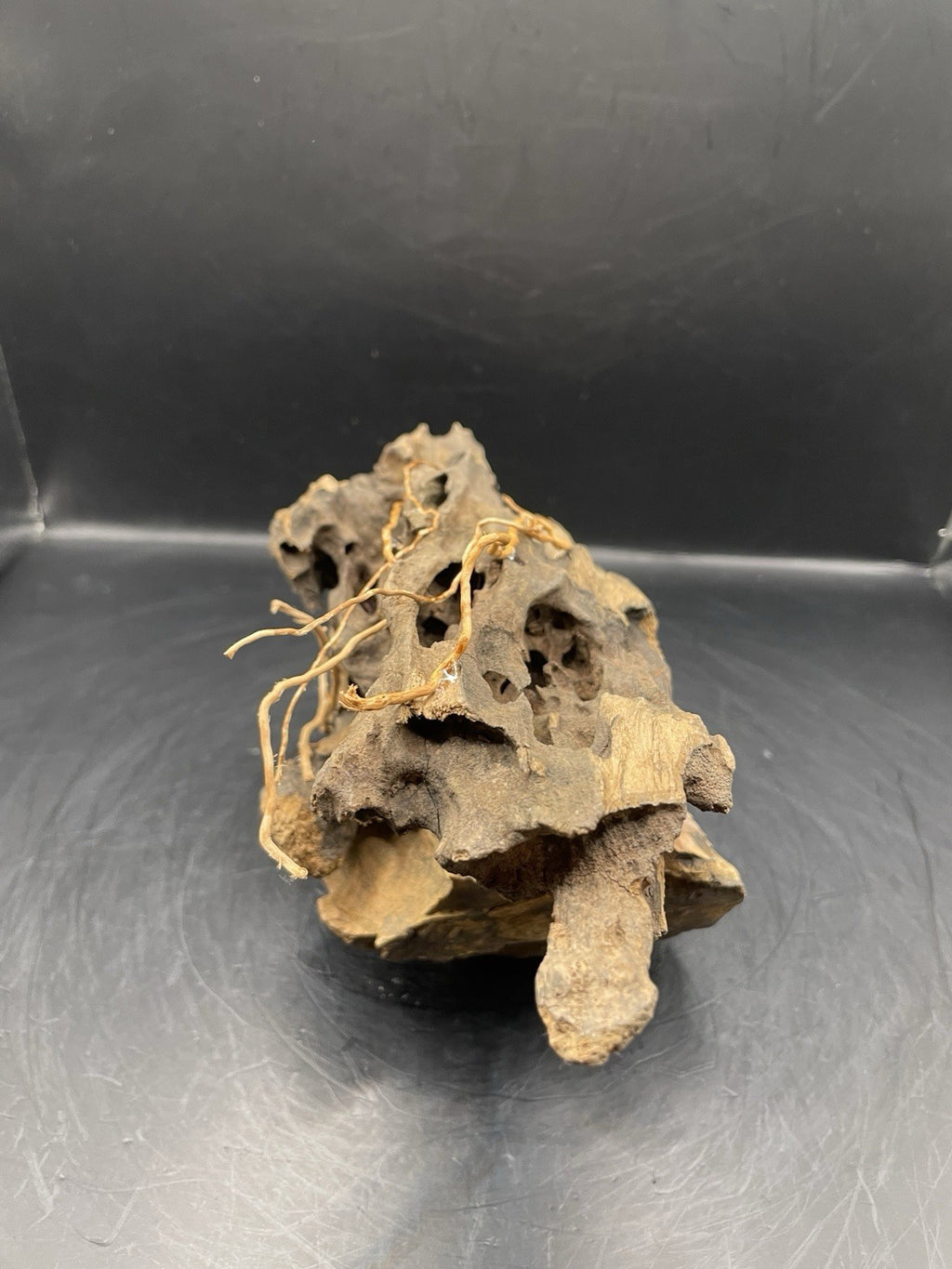 Aquarium Driftwood Handcrafted Aquascape Unique - The Triad of Thorne